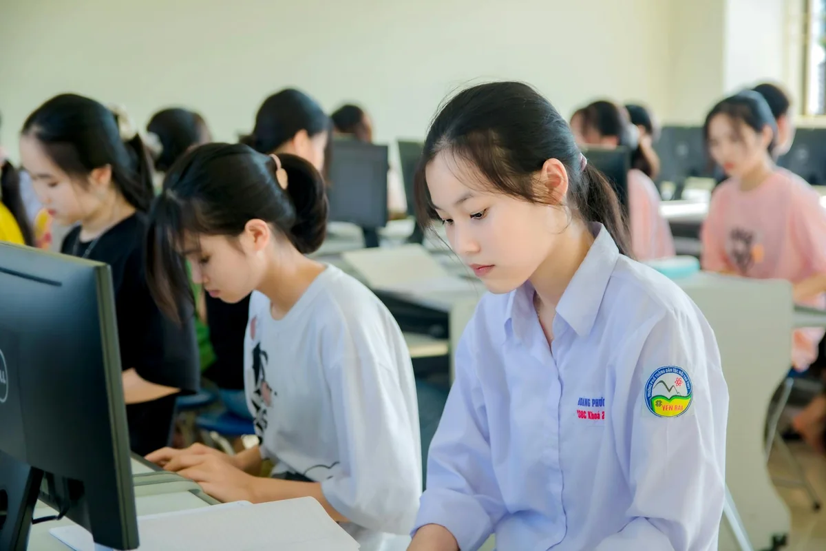 国产吃瓜在线服务项目分类示意，展示信息梳理、风险应对支持与内容脉络整理的关系